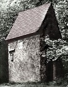 Beobachtungshaus im Langebrücker Saugarten